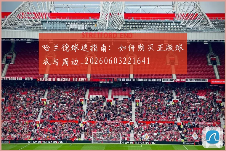 哈兰德球迷指南:如何购买正版球衣与周边_20260603221641
